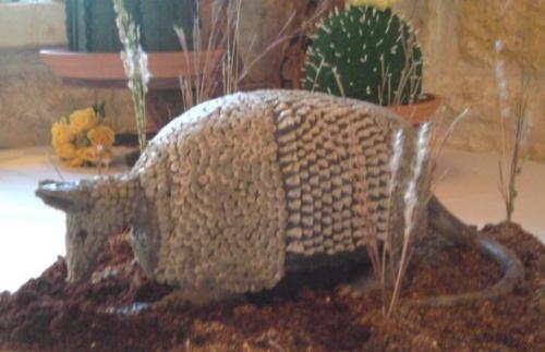 3d armadillo grooms cake real like