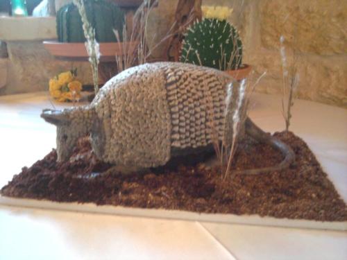 3d armadillo grooms cake real like2