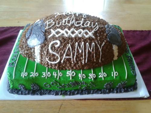 3d football sammy